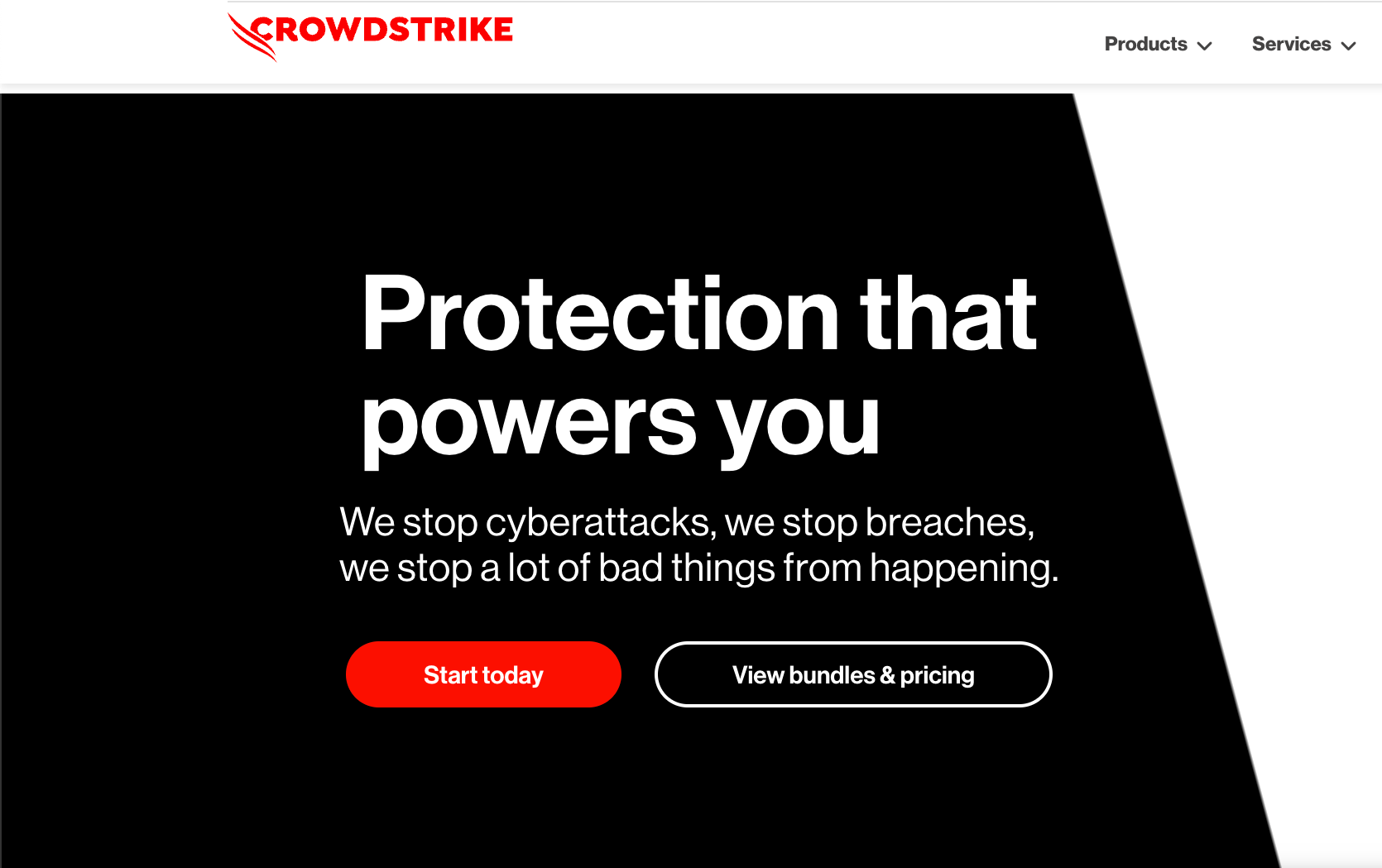 Website of CrowdStrike