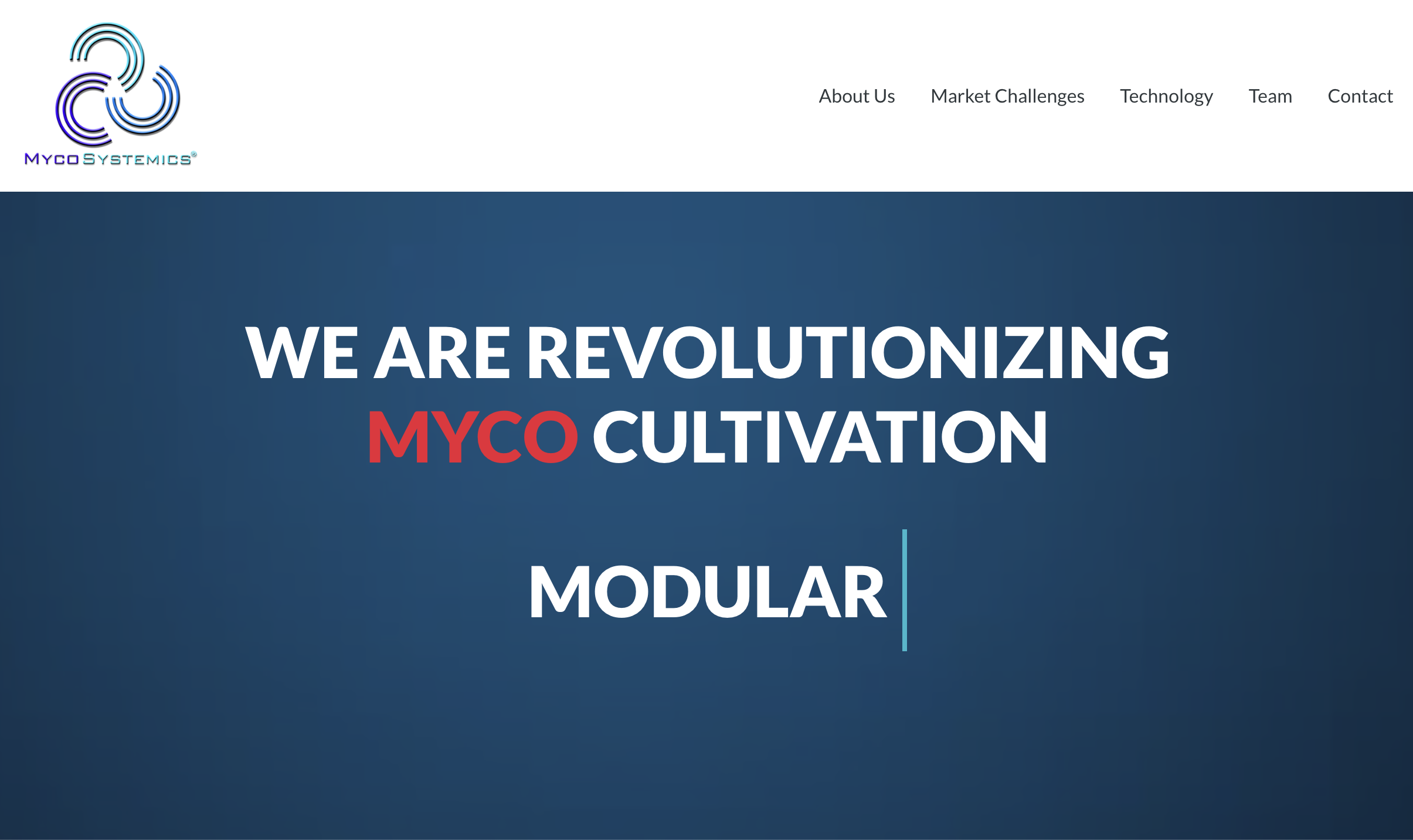 Website of Myco Systemics