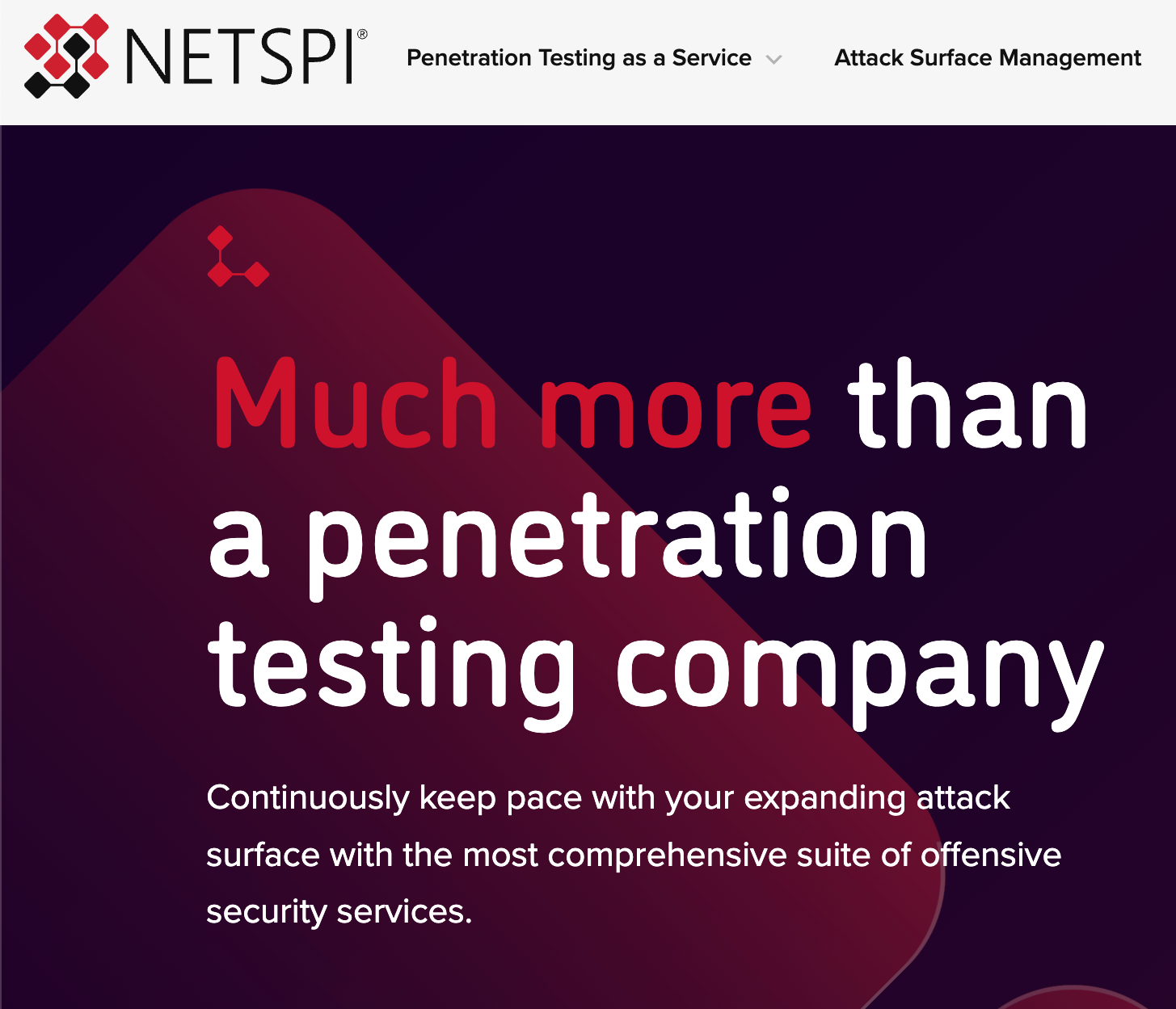Website of NetSPI