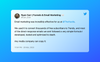 Email Marketing Tactics used at The Hustle